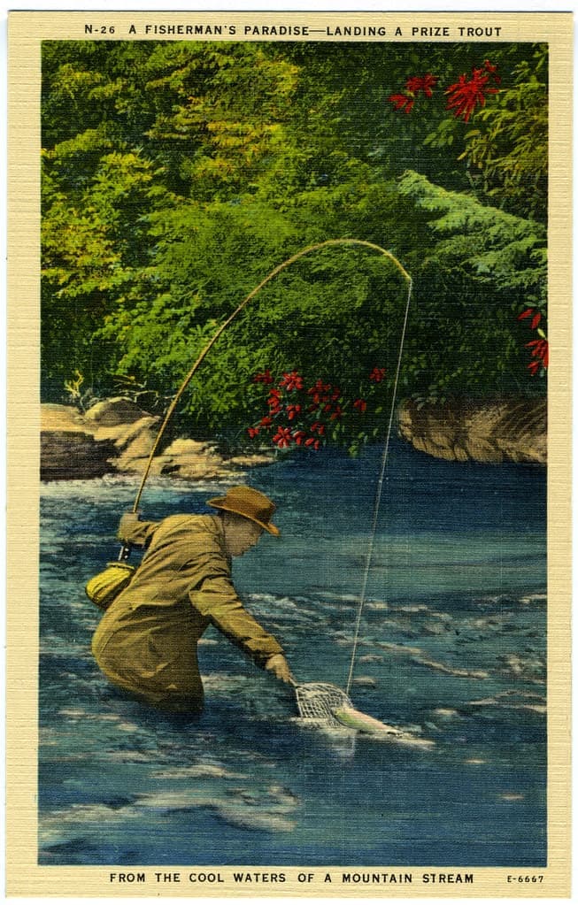 A landing net held over the surface of a river