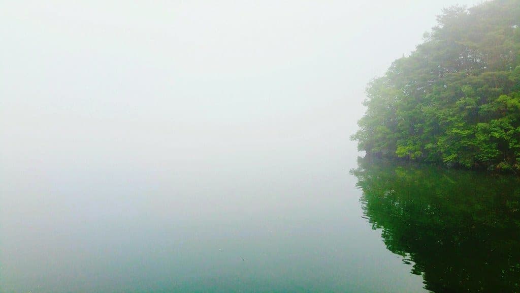 Mist rising off a river at first light, with a gravel bar in the foreground