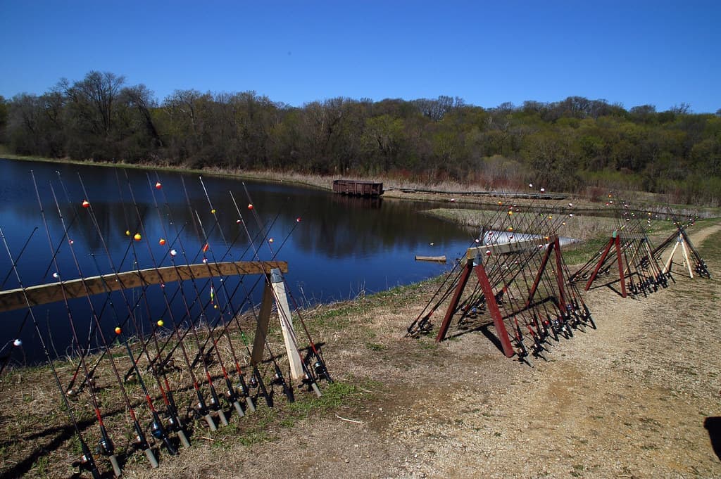 Several fishing rods standing in a rack